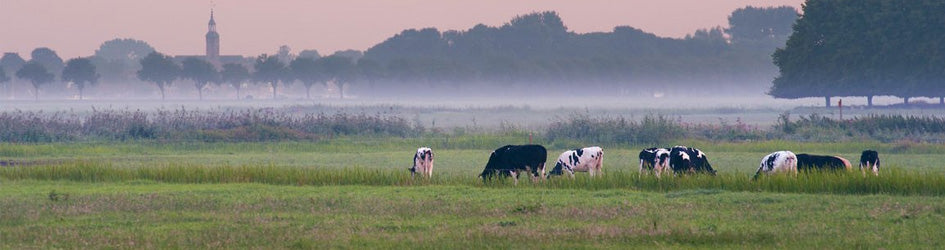 banner-melk