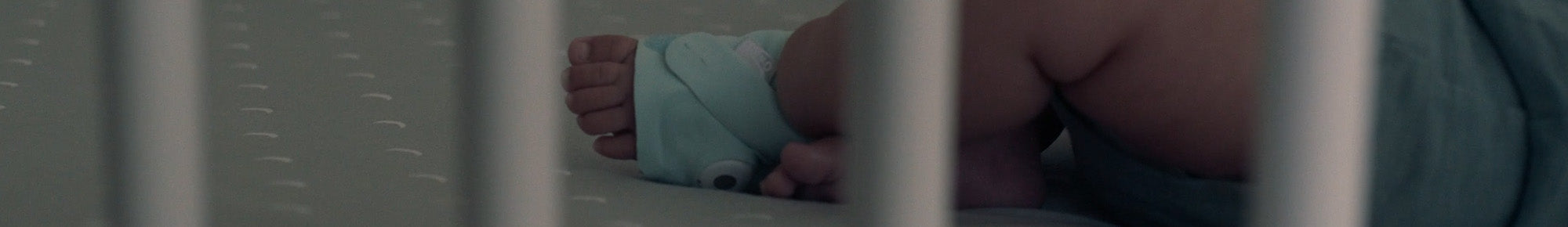 Owlet
