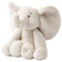 Elephant Sandy