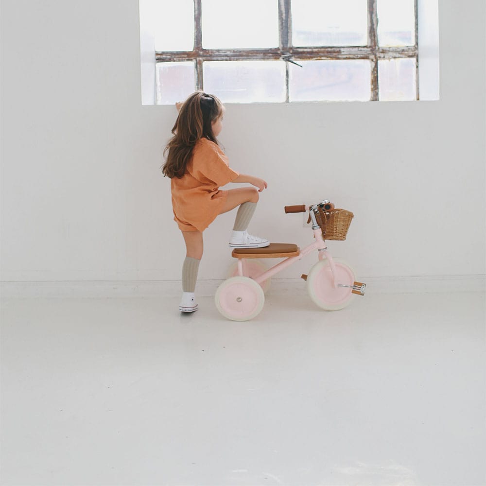 banwood-driewieler-trike-roze-8-min