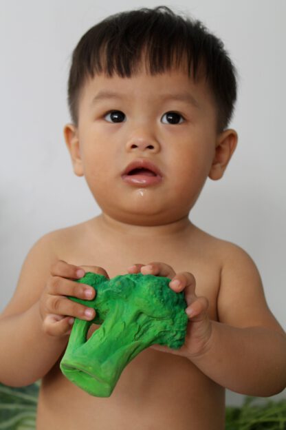 brucy_the_broccoli_15_-416x624