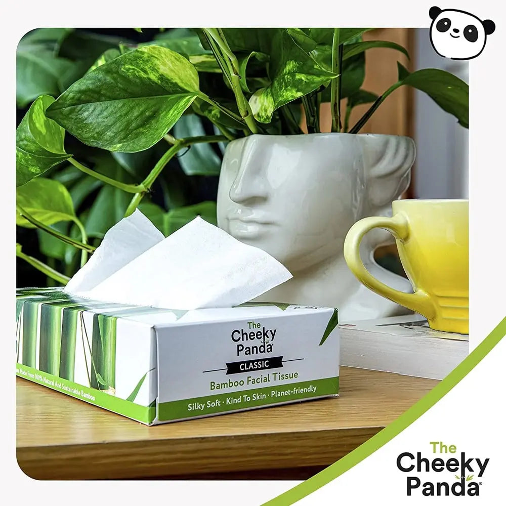 cheeky-panda-tissues-box-80-st-1-min