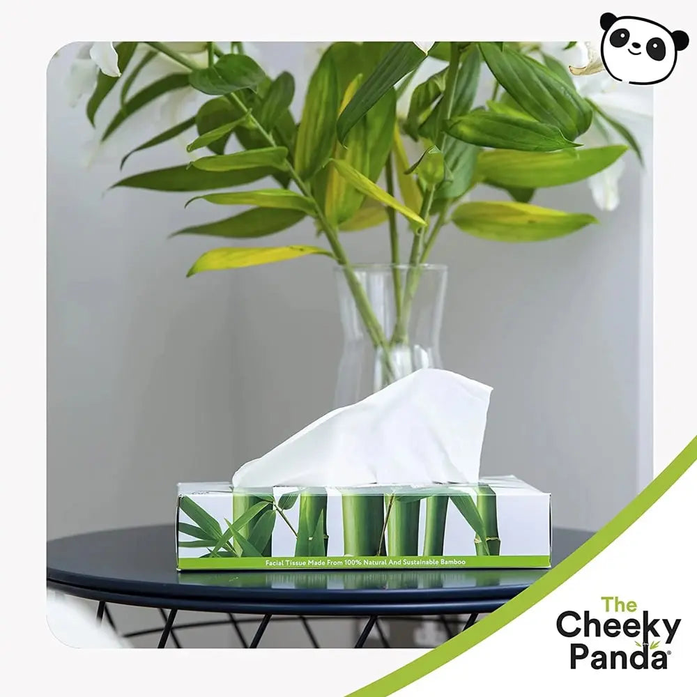cheeky-panda-tissues-box-80-st-2-min