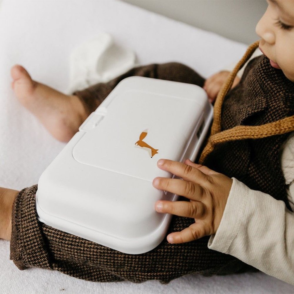 funkybox-billendoekjes-box-to-go-wit-vos-3-min