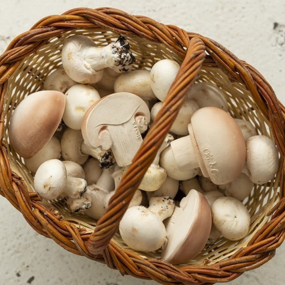 oli-and-carol-bad-speeltje-champignon-2-min