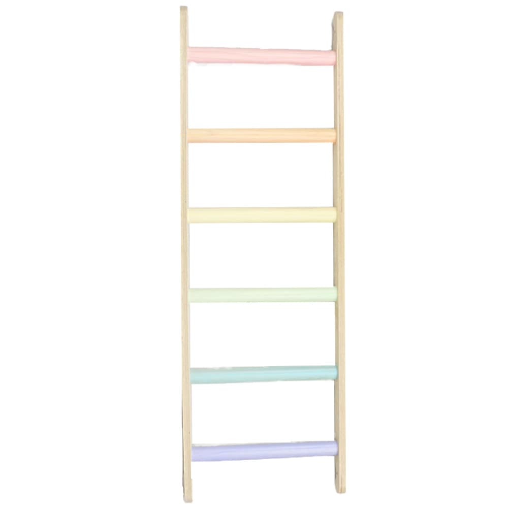 sawdust-and-rainbows-ladder-pastel-min