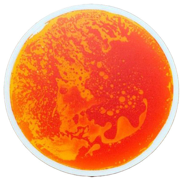 Eduplay Sensory Liquid Tile Round - Orange