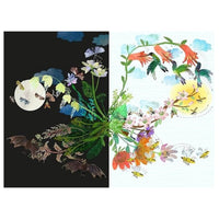 The Brilliant Flower Book