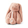 Pale Tuscany Rabbit