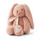 Pale Tuscany Rabbit