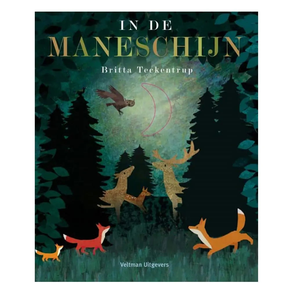 In De Maneschijn Bibliotheek