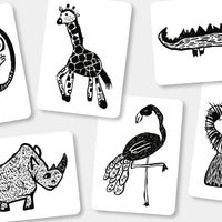 Mini Coco Flash Cards - Safari Mini Coco