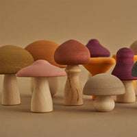 Raduga Grez Mushrooms Raduga Grez