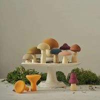 Raduga Grez Mushrooms Raduga Grez