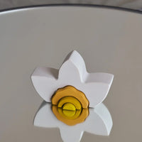 Raduga Grez Stapelbogen Narcis Raduga Grez