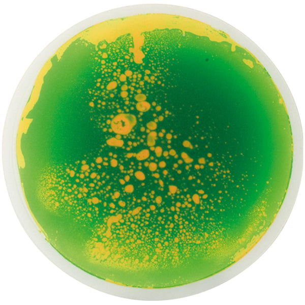 Eduplay Sensory Liquid Tile Round - Green