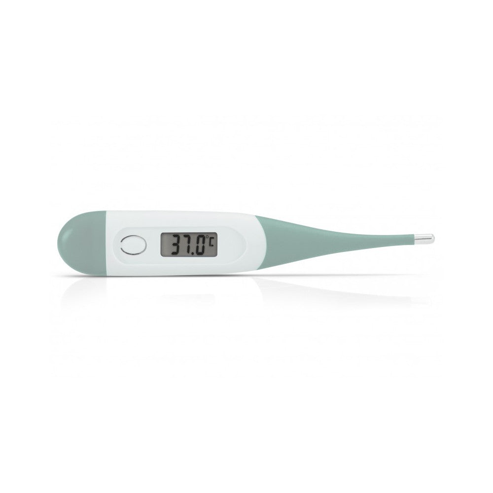 Alecto Digitale Thermometer groen