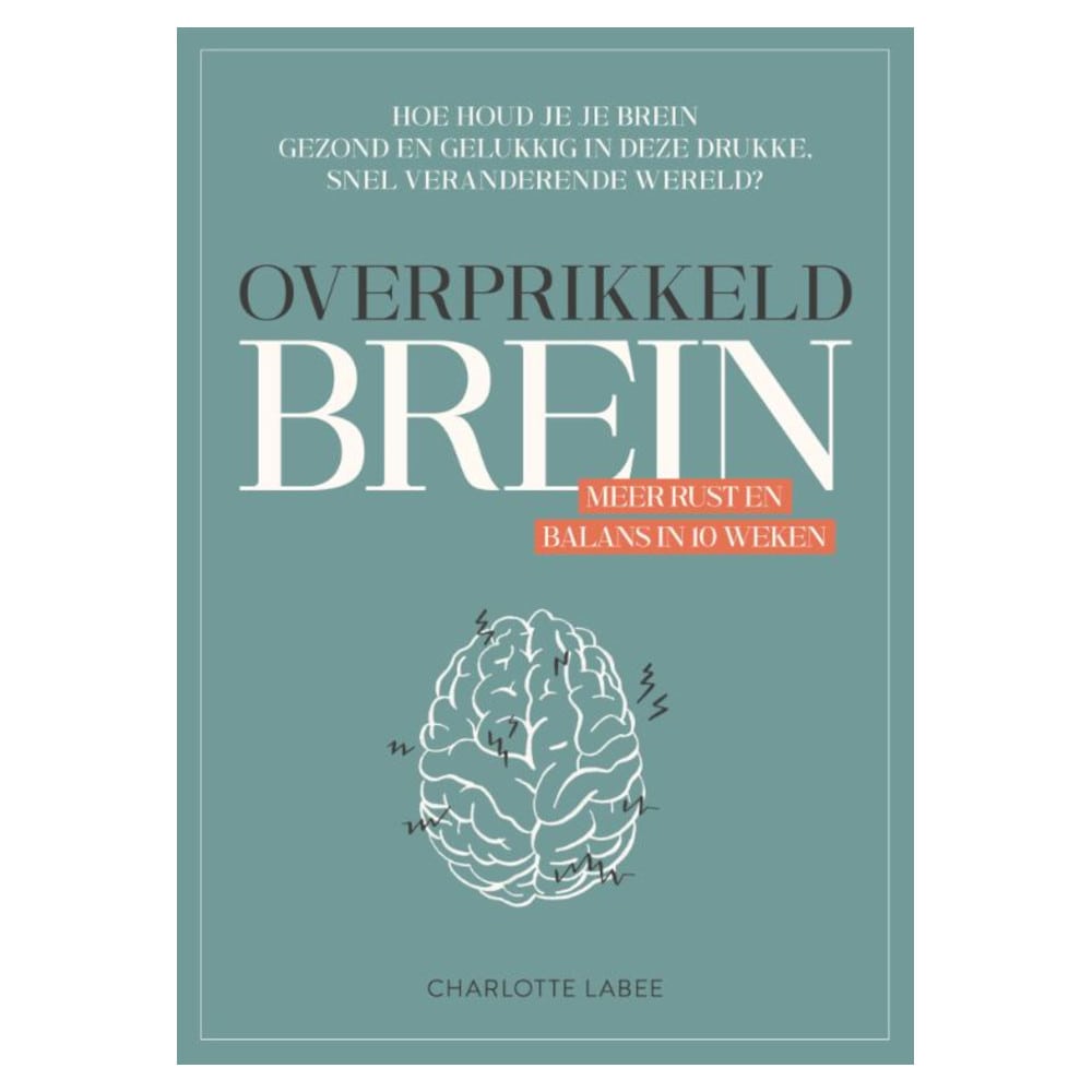 Overprikkeld Brein-min