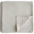 Sage Stripes