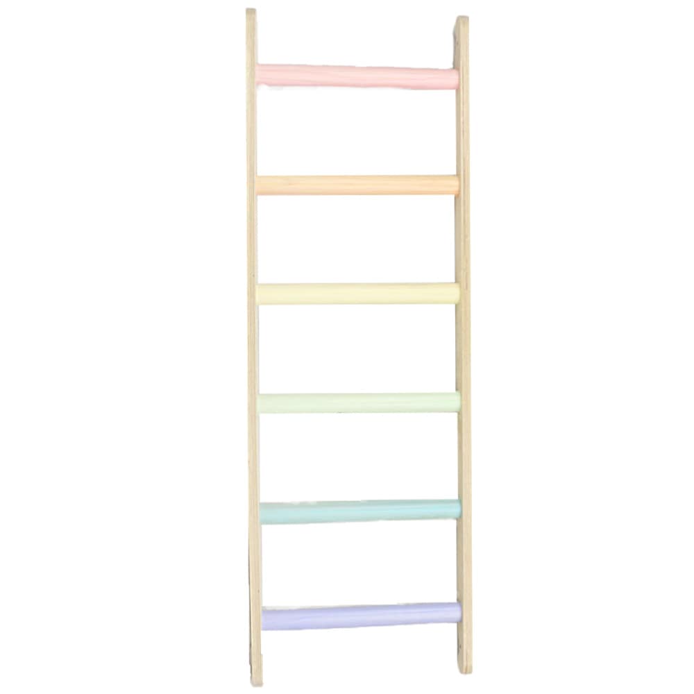 sawdust-and-rainbows-ladder-pastel-min
