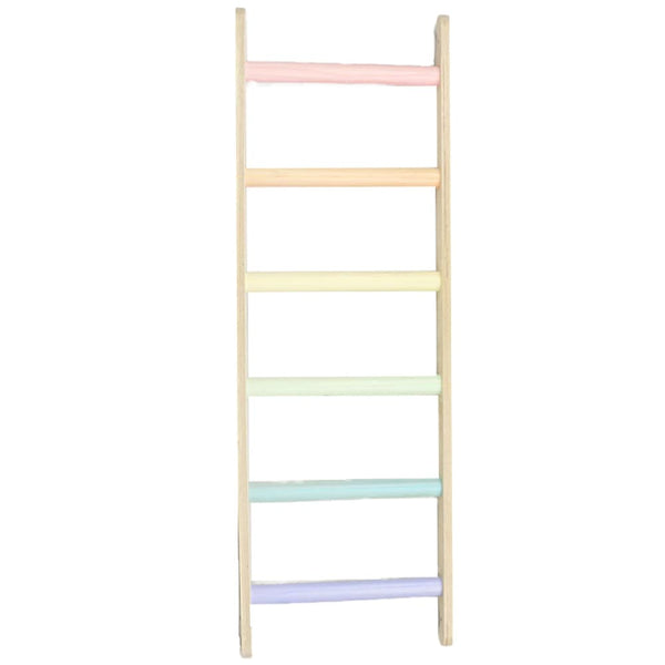sawdust-and-rainbows-ladder-pastel-min